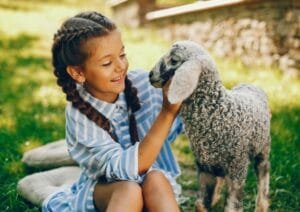 Complete Guide about What is Tickzoo? and Tickzoo