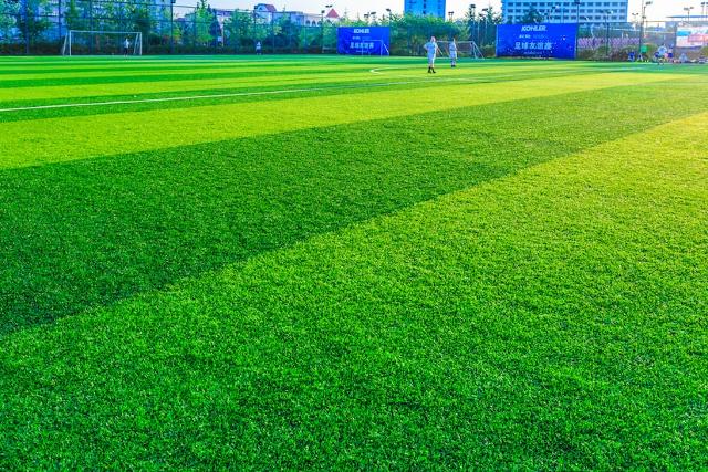 Artificial Turf Vs Natural Grass – Which One Is Better?